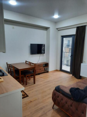 Appartement lumineux Tbilissi 7ème étage